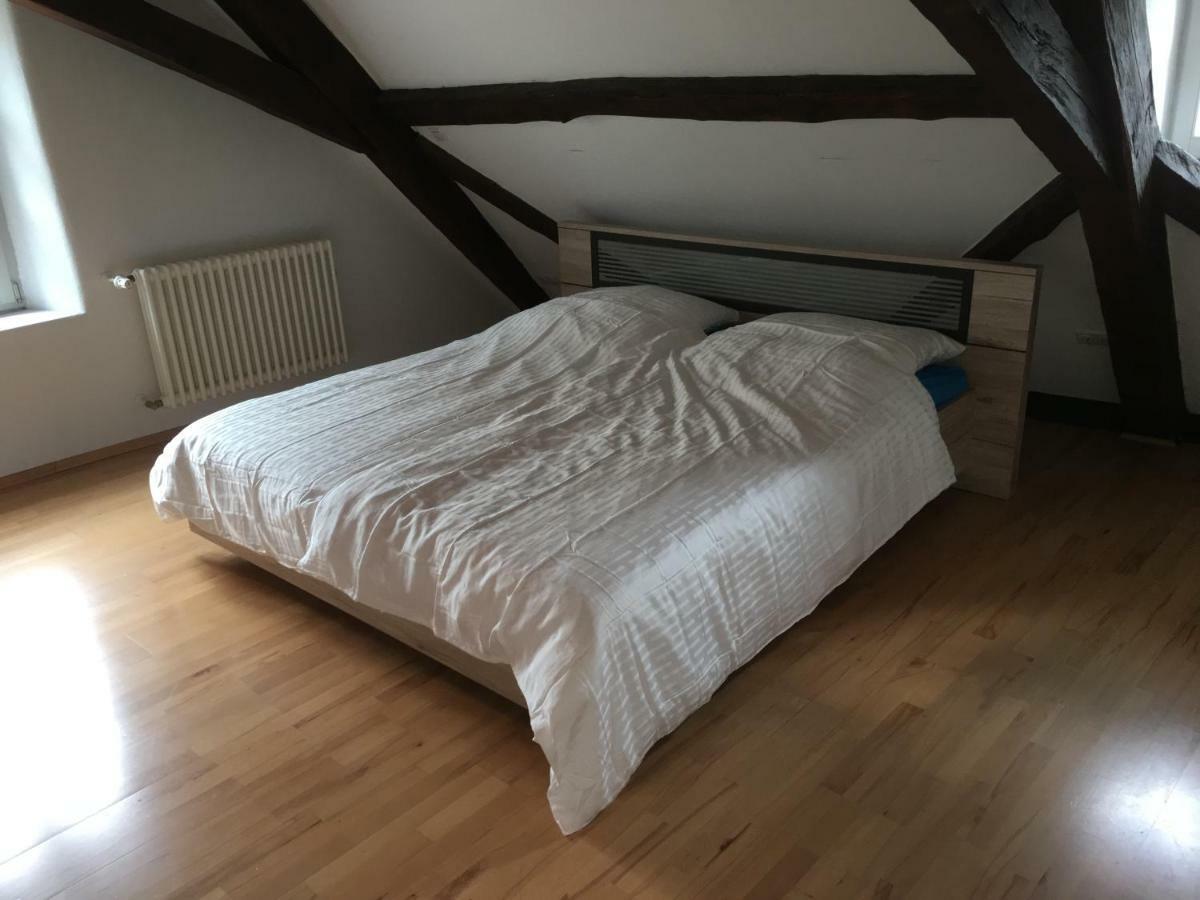 Kaiserslautern Apartment Eksteriør bilde